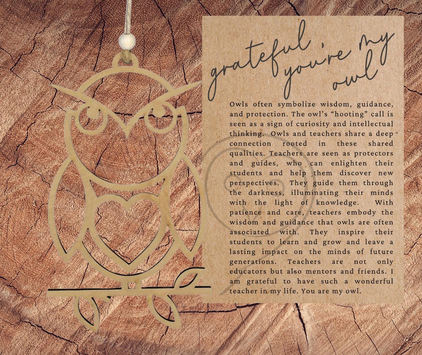 Teacher Owl Story Ornament| Grateful You're My Owl| Inspirational Keepsake| Unique Holiday Decoration| Car Charm
