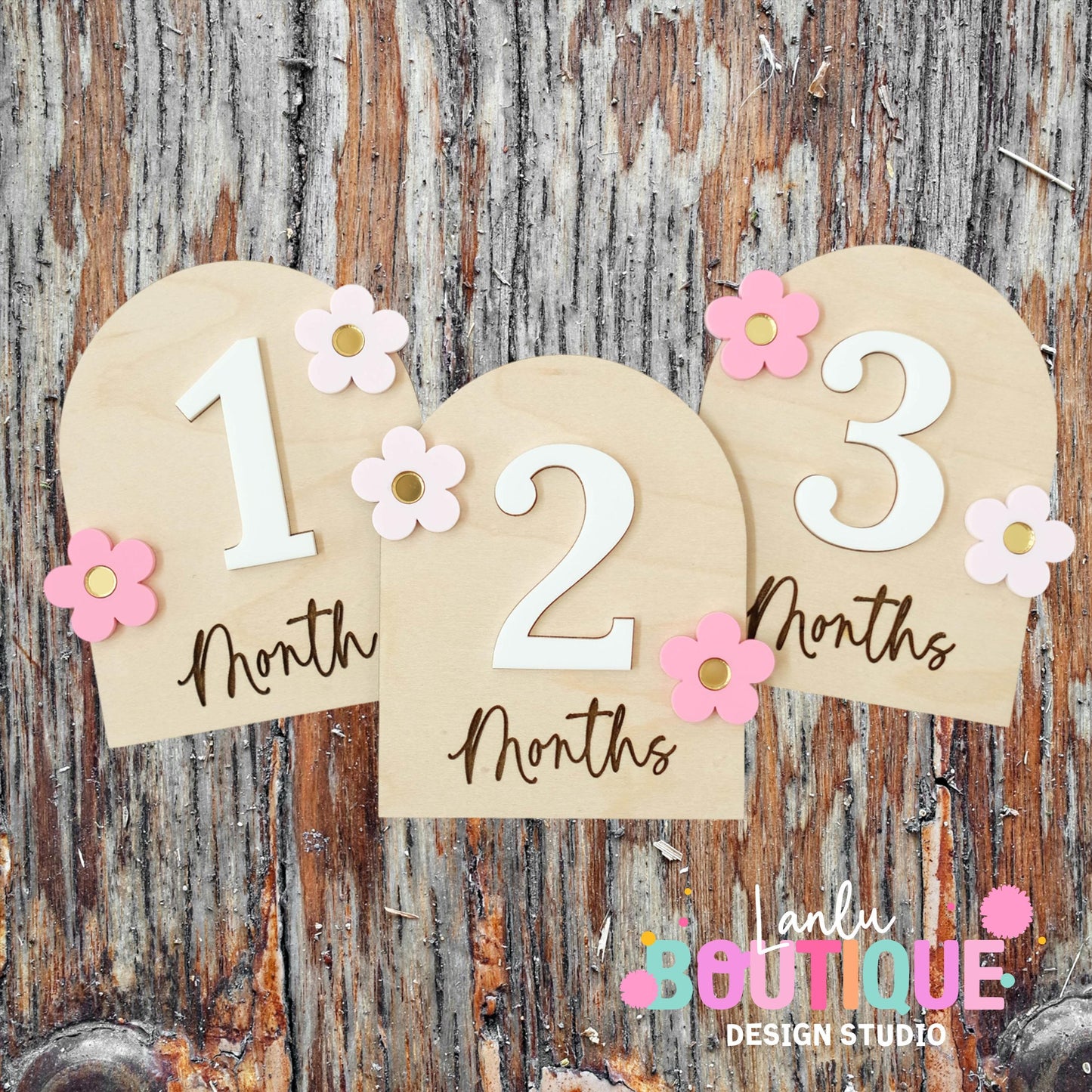 Handmade Floral Birth Announcement Plaque with Custom Name and Baby Details and 12 months monthly photo plaque