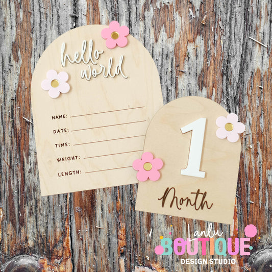 Handmade Floral Birth Announcement Plaque with Custom Name and Baby Details and 12 months monthly photo plaque